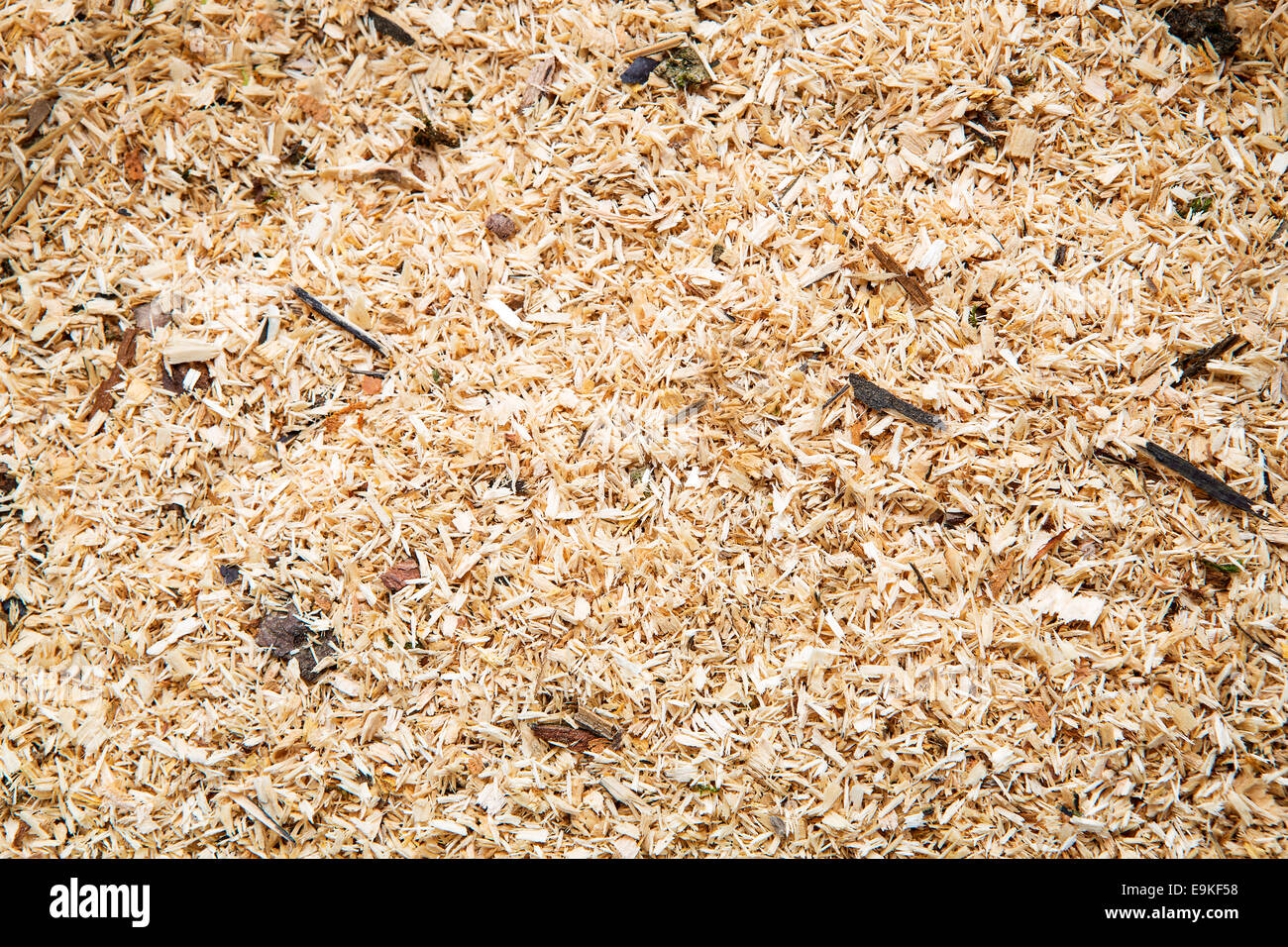 Closeup of sawdust as a background Stock Photo
