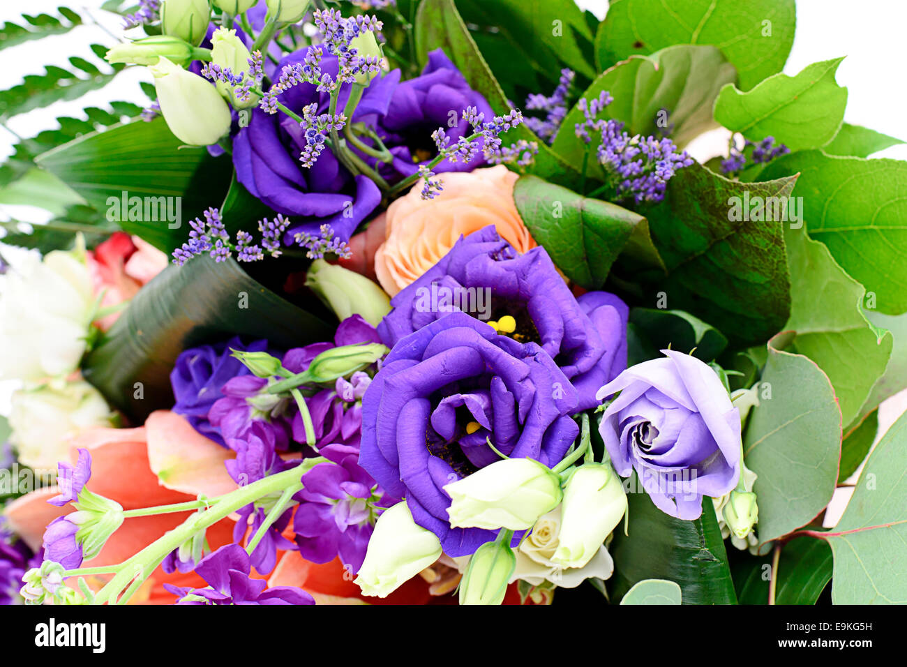Colorful Flowers Bouquet Isolated on White Background Stock Photo - Alamy