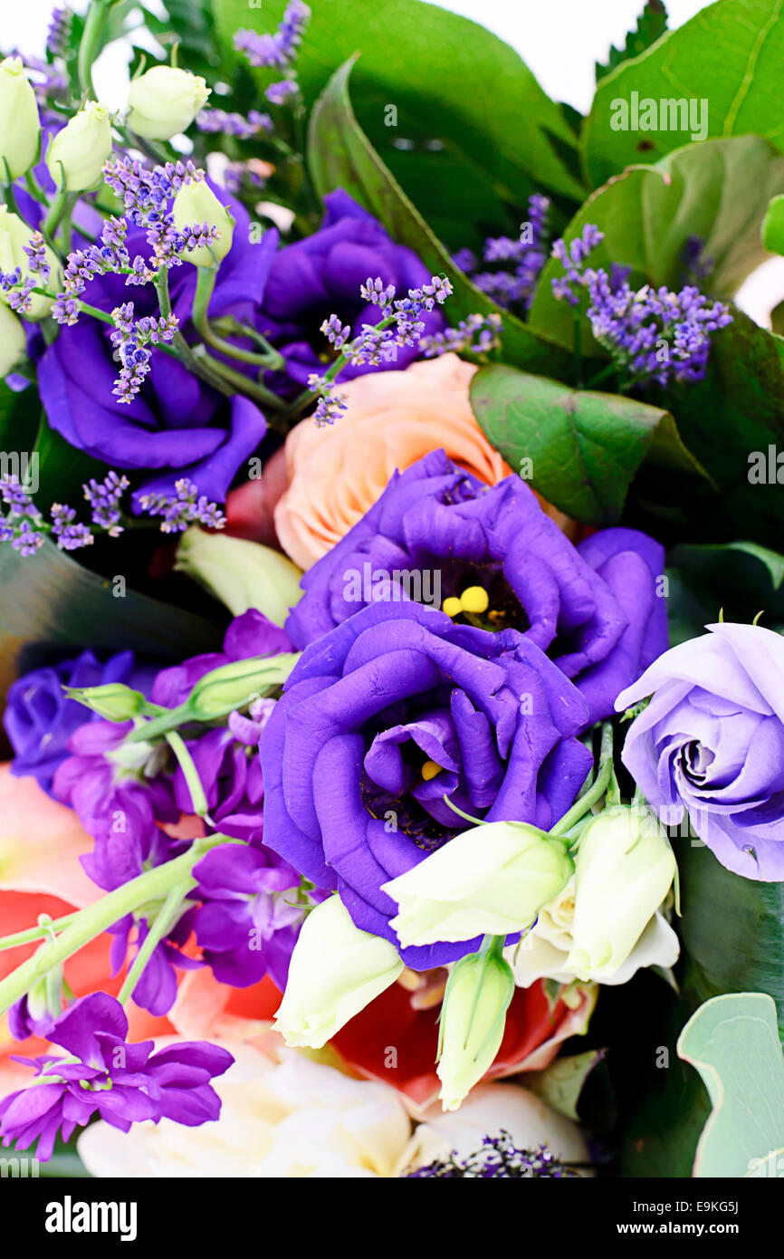 Colorful Flowers Bouquet Isolated on White Background Stock Photo - Alamy