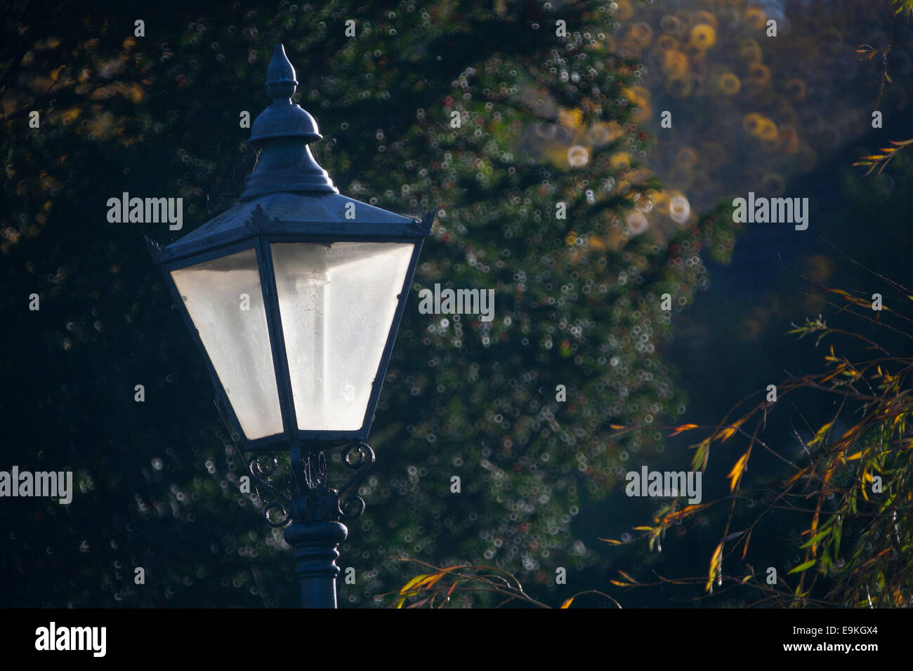 Victorian street lamp hi-res stock photography and images - Alamy