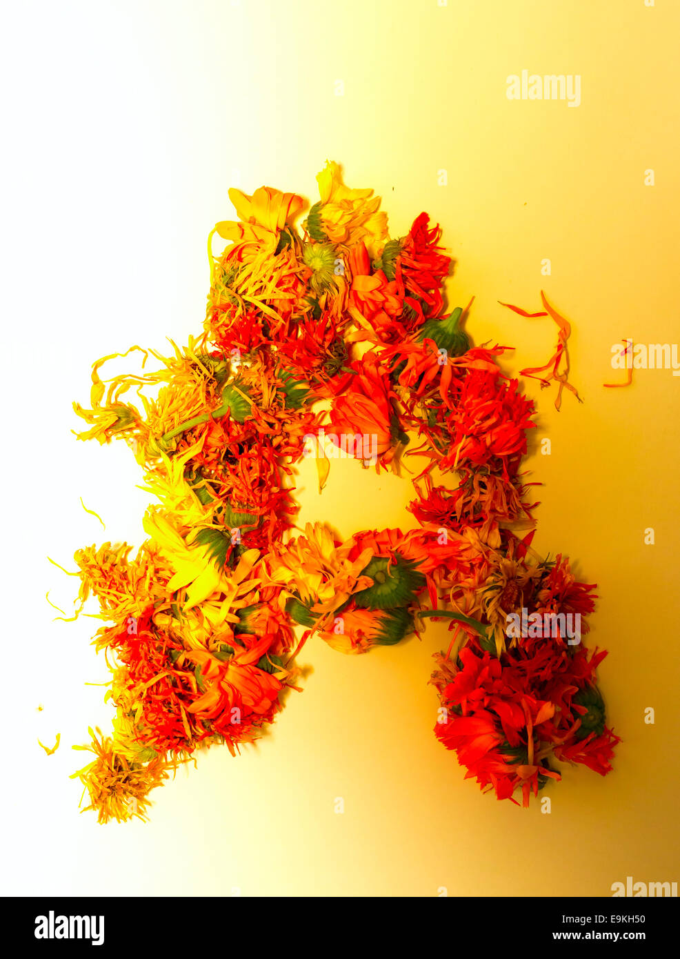 Initials letter A Stock Photo - Alamy