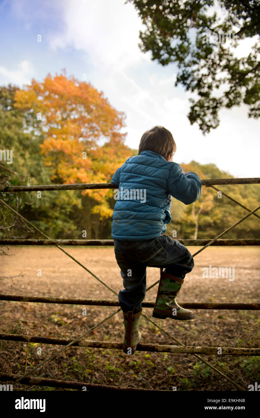 Autumn colour in Michaelwood, Gloucestershire UK Stock Photo