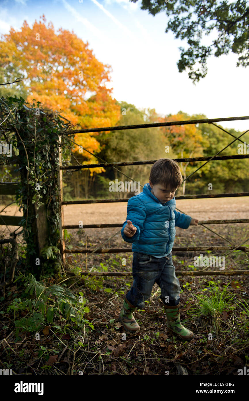 Autumn colour in Michaelwood, Gloucestershire UK Stock Photo
