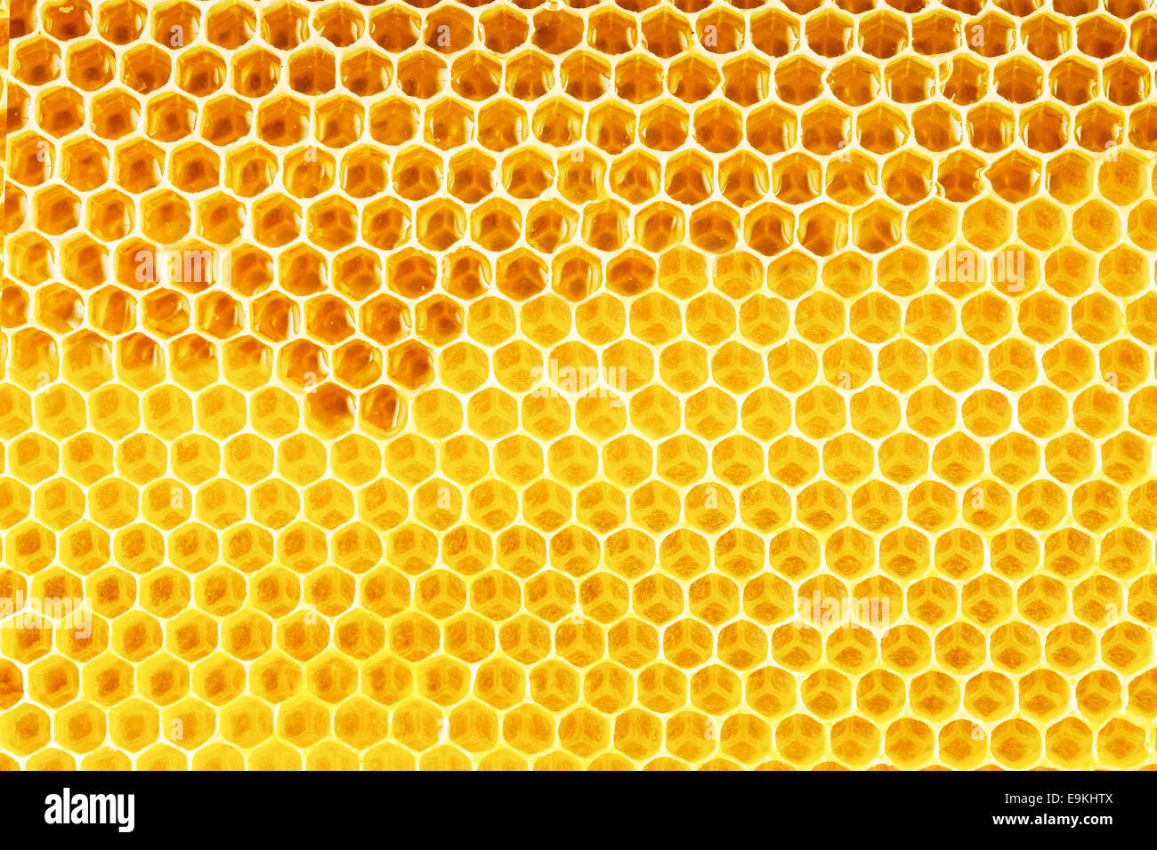 natural honey in honeycomb background Stock Photo