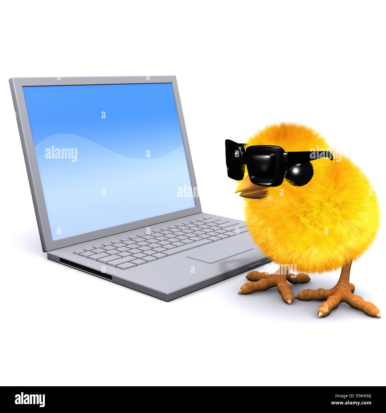 3d render of a chick wearing sunglasses looking at a laptop pc Stock Photo