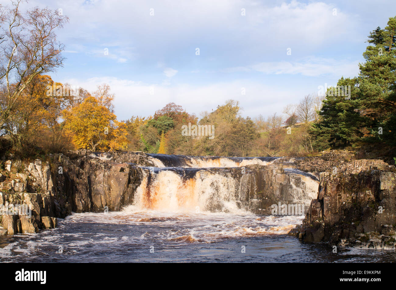 Teesdale, Durham, UK. 29th Oct, 2014. Heavy rain the previous day meant that the Tees was running full over Low Force waterfall, near Middleton in Teesdale, England UK. Credit:  Washington Imaging/Alamy Live News Stock Photo