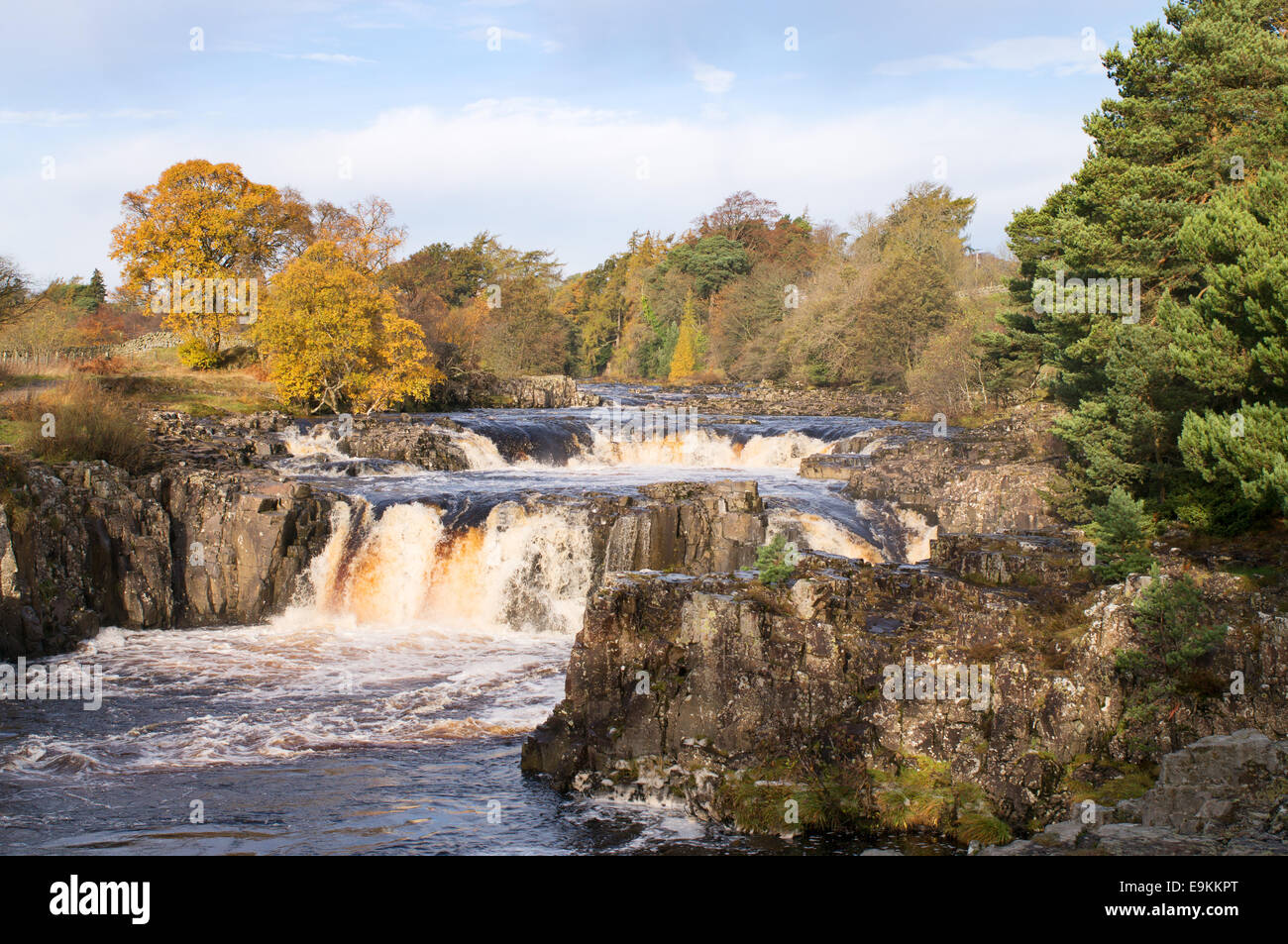 Teesdale, Durham, UK. 29th Oct, 2014. Heavy rain the previous day meant that the Tees was running full over Low Force waterfall, near Middleton in Teesdale, England UK. Credit:  Washington Imaging/Alamy Live News Stock Photo