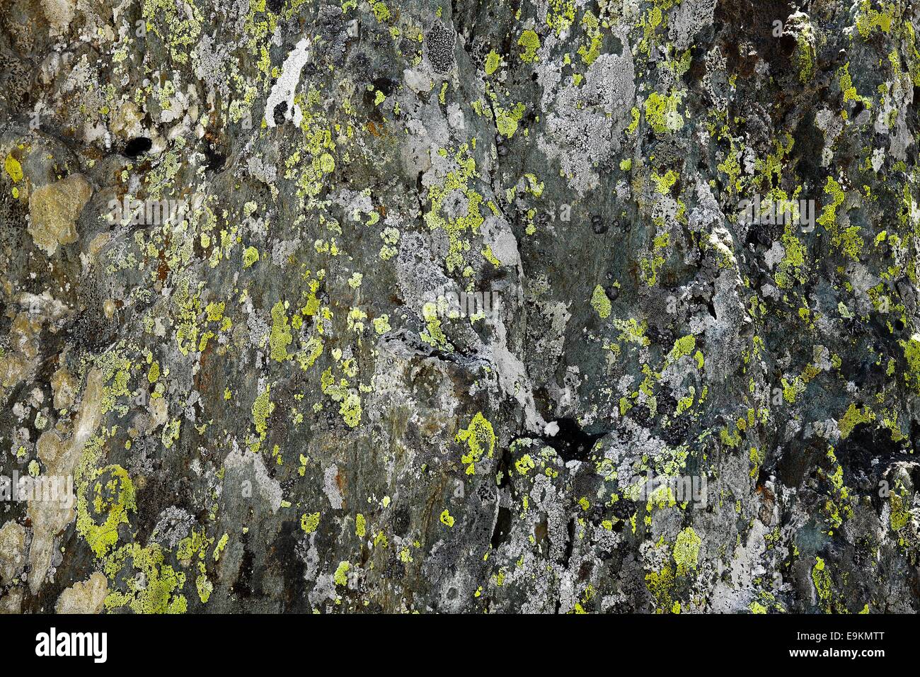 Rock Texture Stock Photo