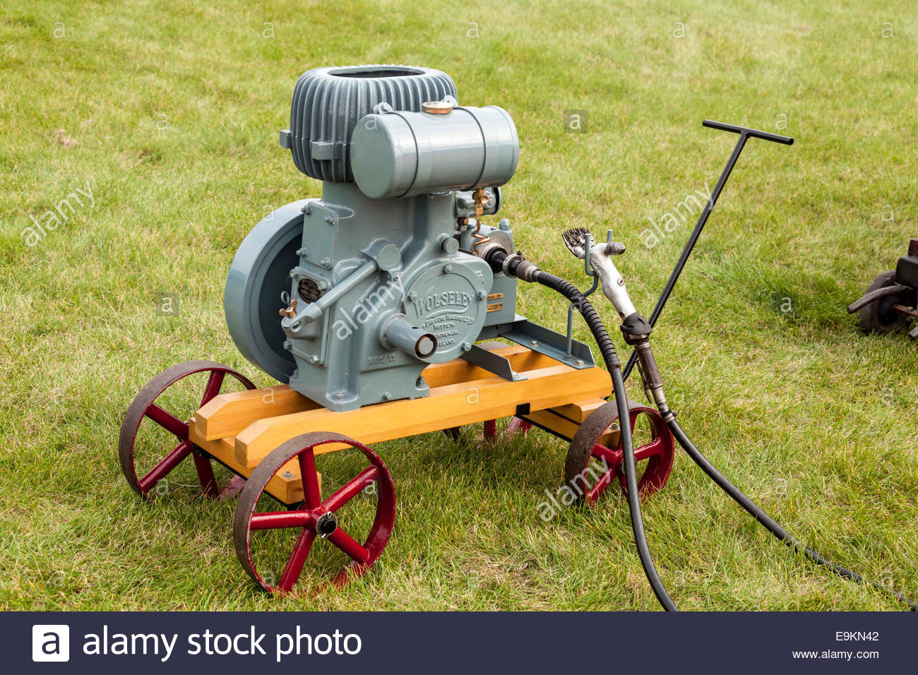 Sheep Shearing Machine Stock Photos & Sheep Shearing Machine Stock