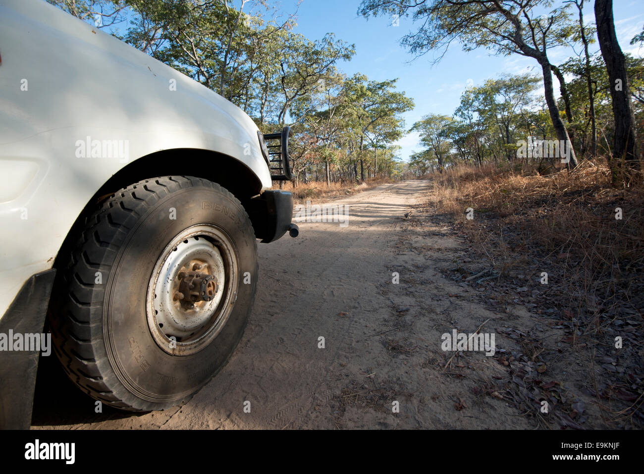 Large tyre landcruiser offroad bush track Africa Stock Photo