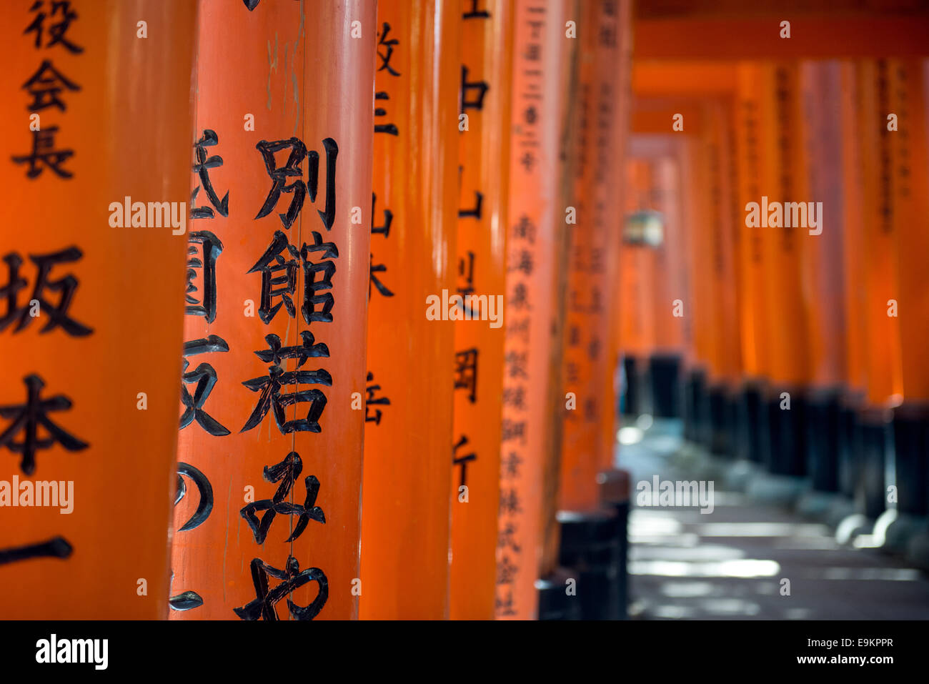 Torii gates at Fushimi Inari Shrine in Kyoto, Japan Stock Photo - Alamy