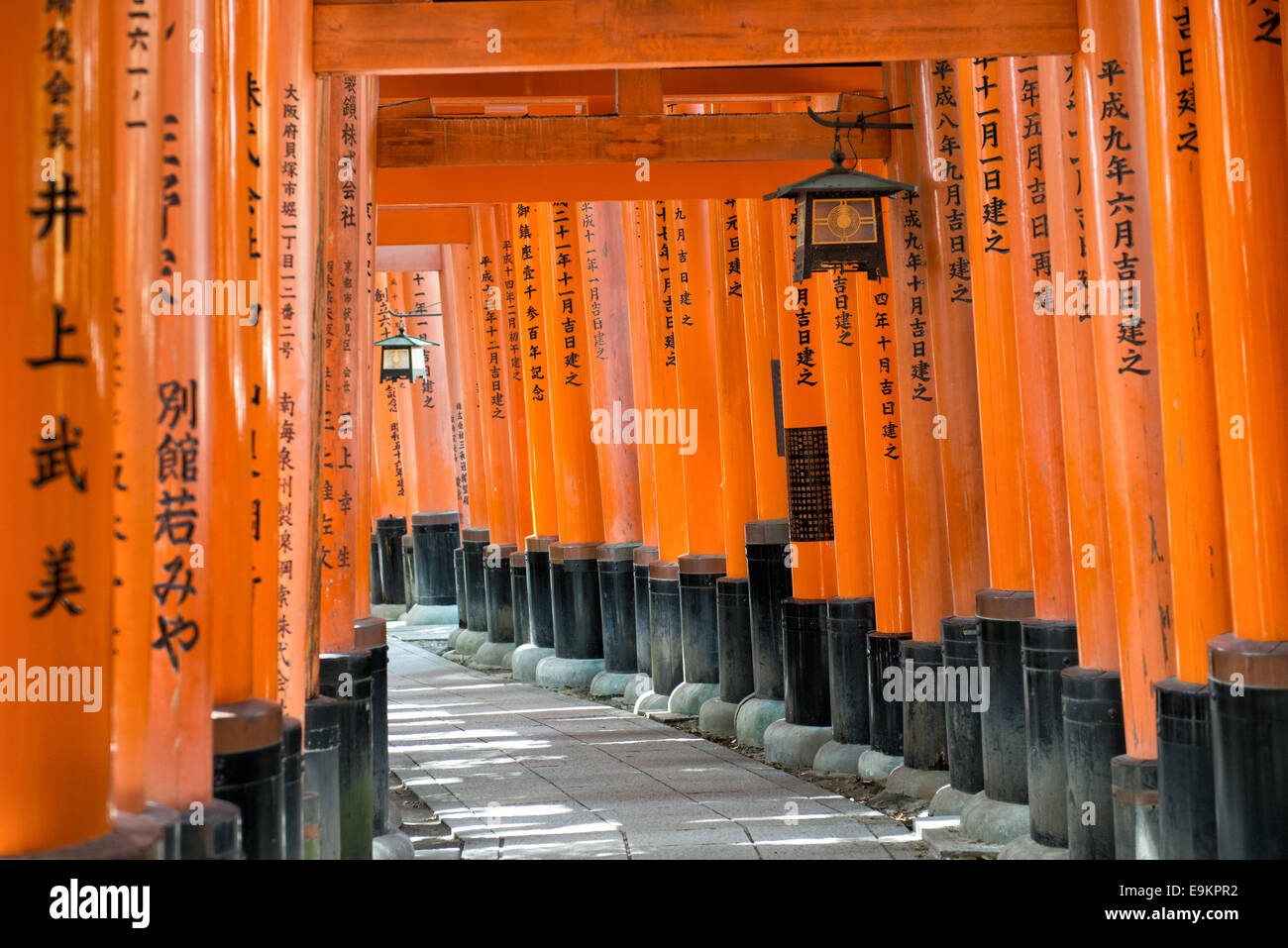 Torii gates at Fushimi Inari Shrine in Kyoto, Japan Stock Photo - Alamy