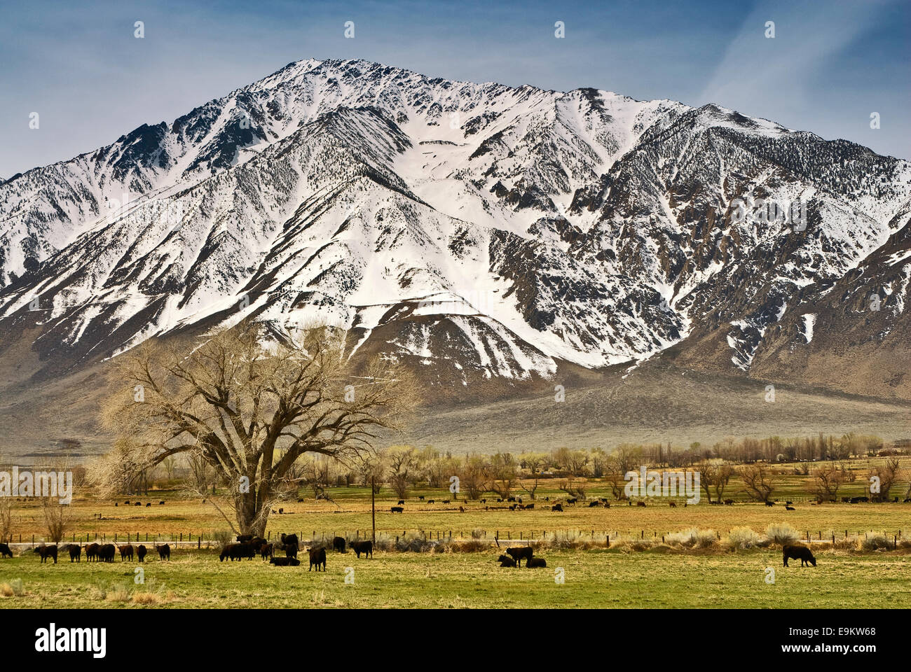 Mount Tom in Eastern Sierra Nevada, over Round Valley in late winter
