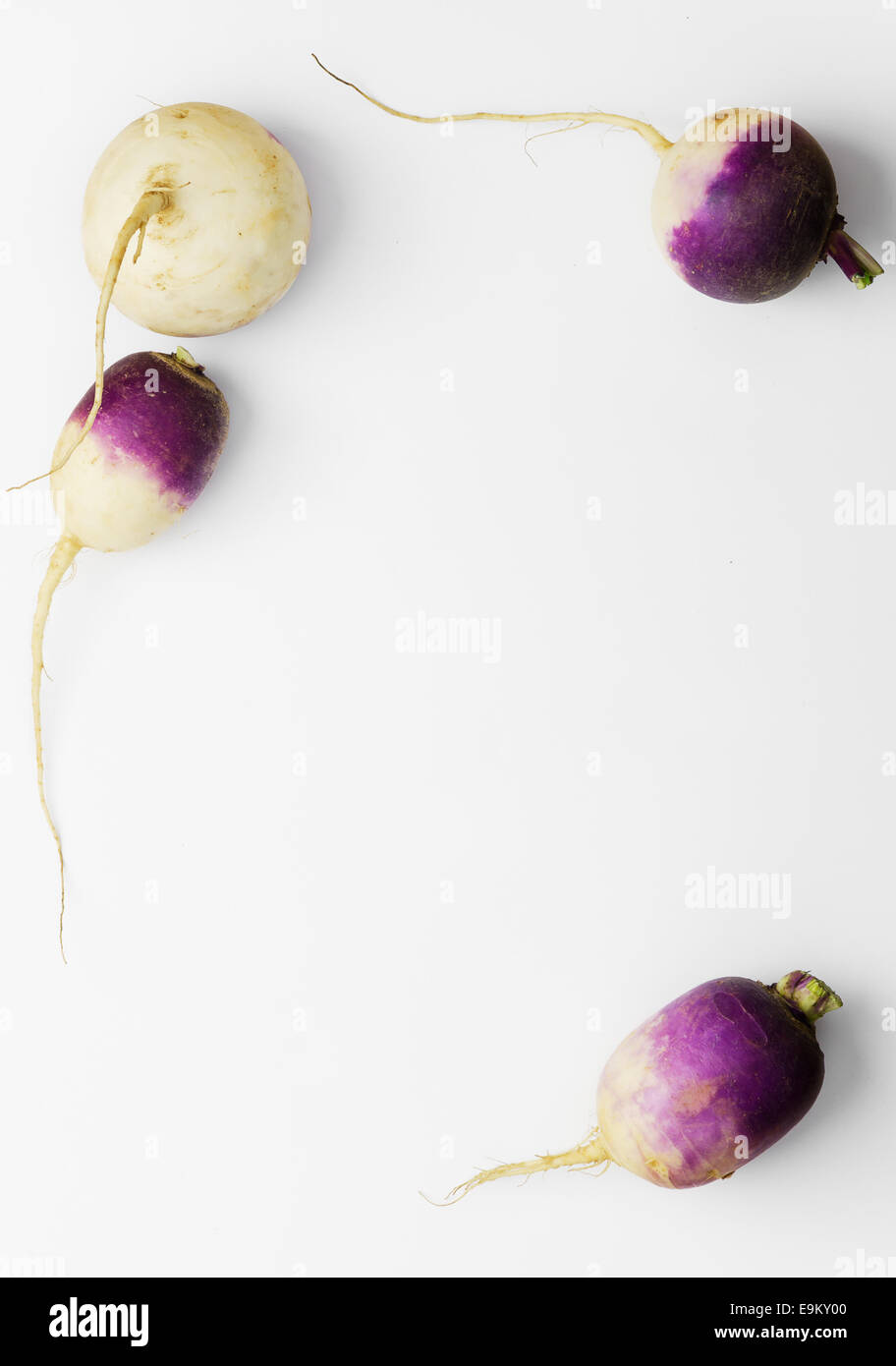Fresh turnip background with copy space (negative space) Stock Photo