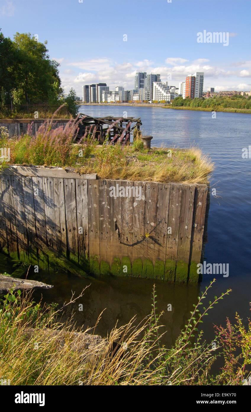 Flats at Glasgow Harbour from Govan Waterfront Stock Photo Alamy