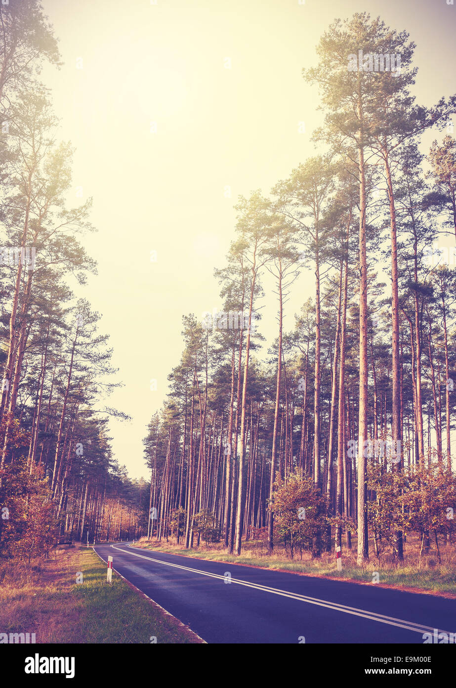 Vintage retro styled picture of a road in forest. Stock Photo