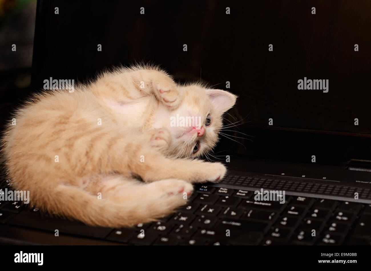 Learning playing little baby cute hi-res stock photography and images ...