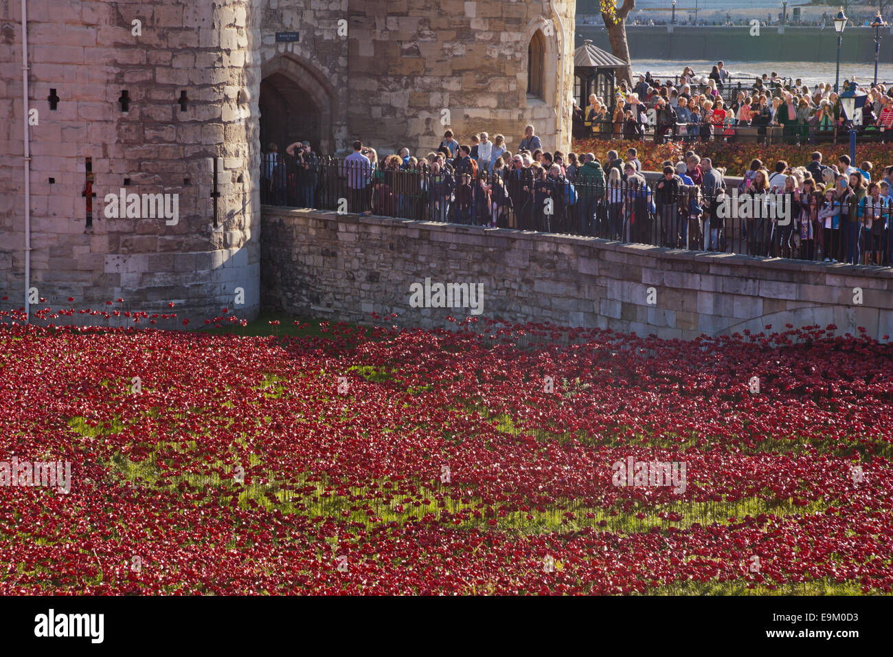 The poppies work of art outside the Tower of London, London UK with crowds of sightseers looking on. Stock Photo
