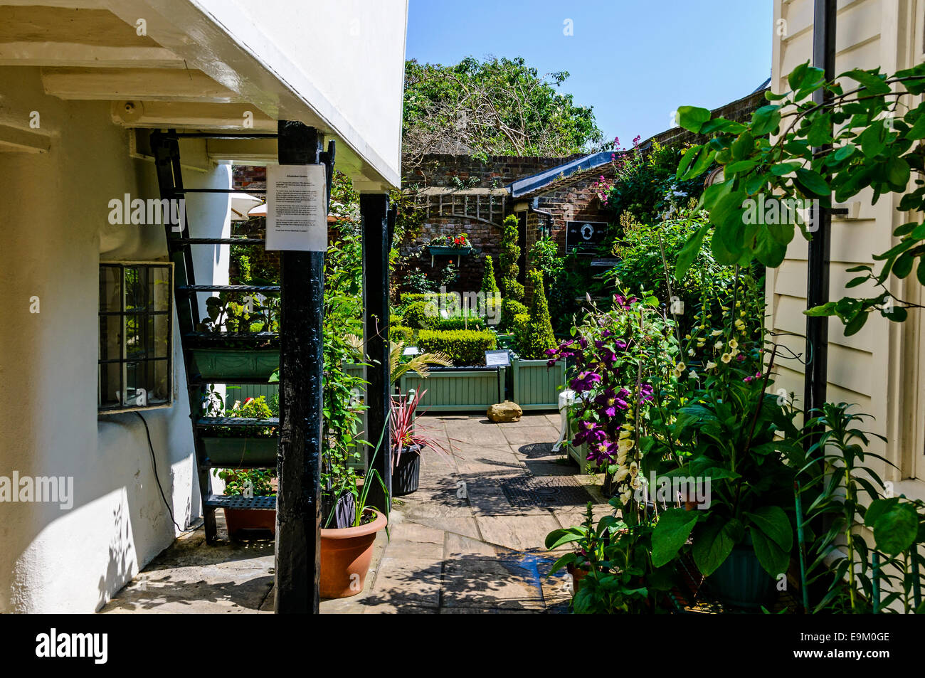 An Elizabethan Garden growing a range of herbs and plants at the rear