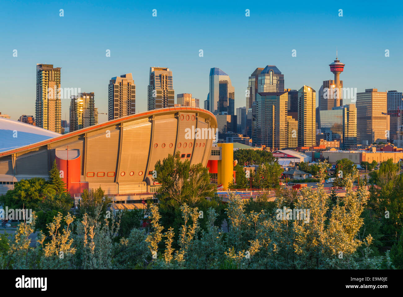 The Saddledome and Calgary skyline, Calgary, Alberta, Canada Stock Photo