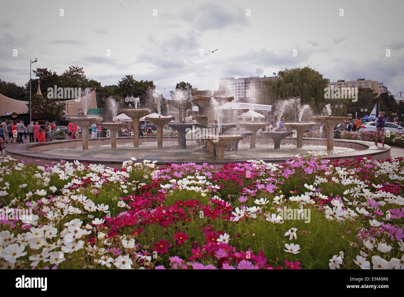 Poland, Gdynia August 17, 2014: Flowers bloom in front of Gdynia fountain on the Kosciuszko Square. Stock Photo