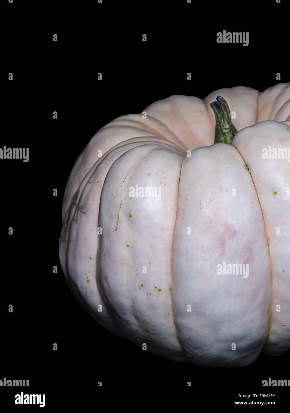 pink pumpkin isolated on black background Stock Photo - Alamy