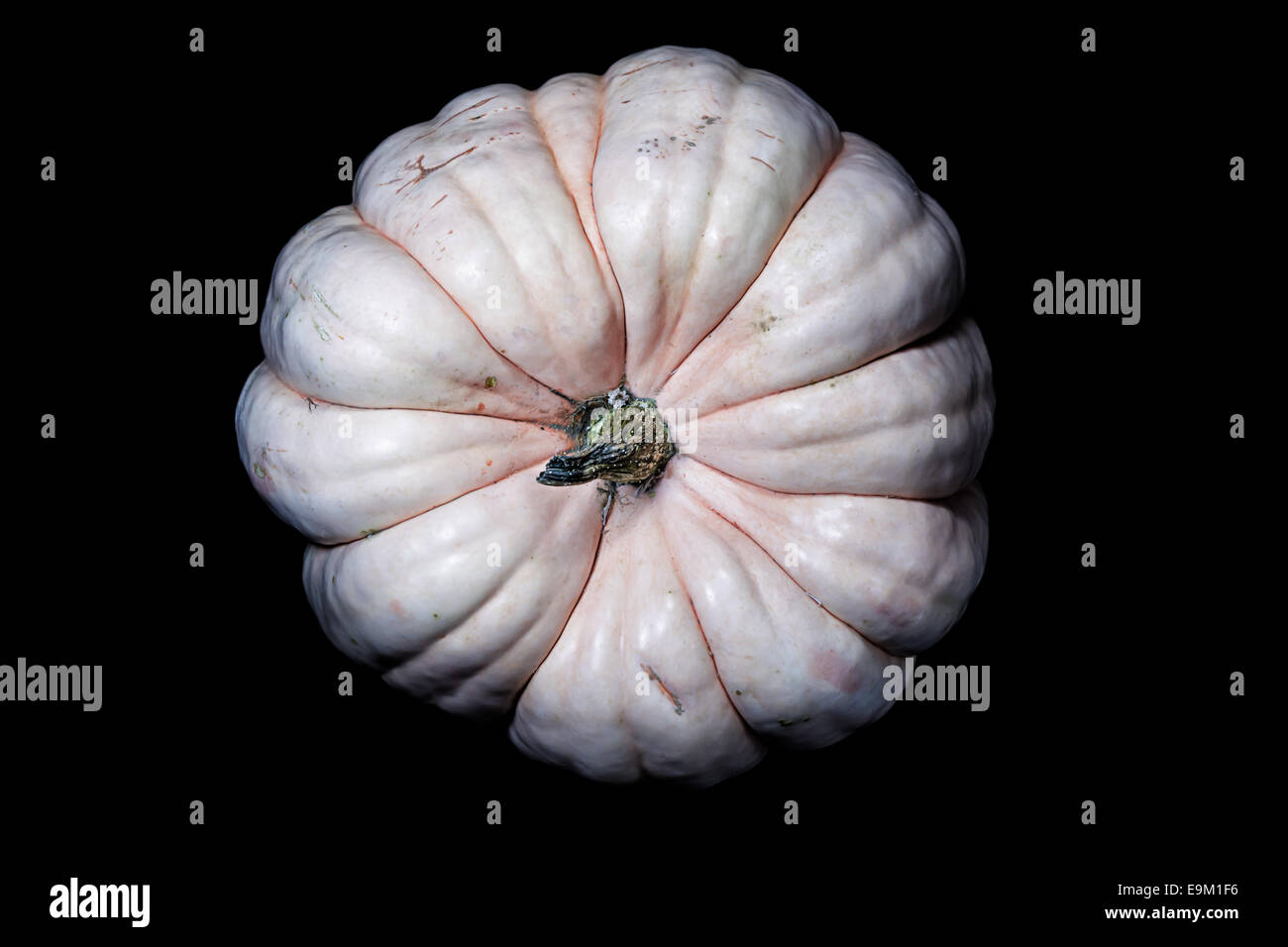 overhead view of pink pumpkin isolated on black background Stock Photo