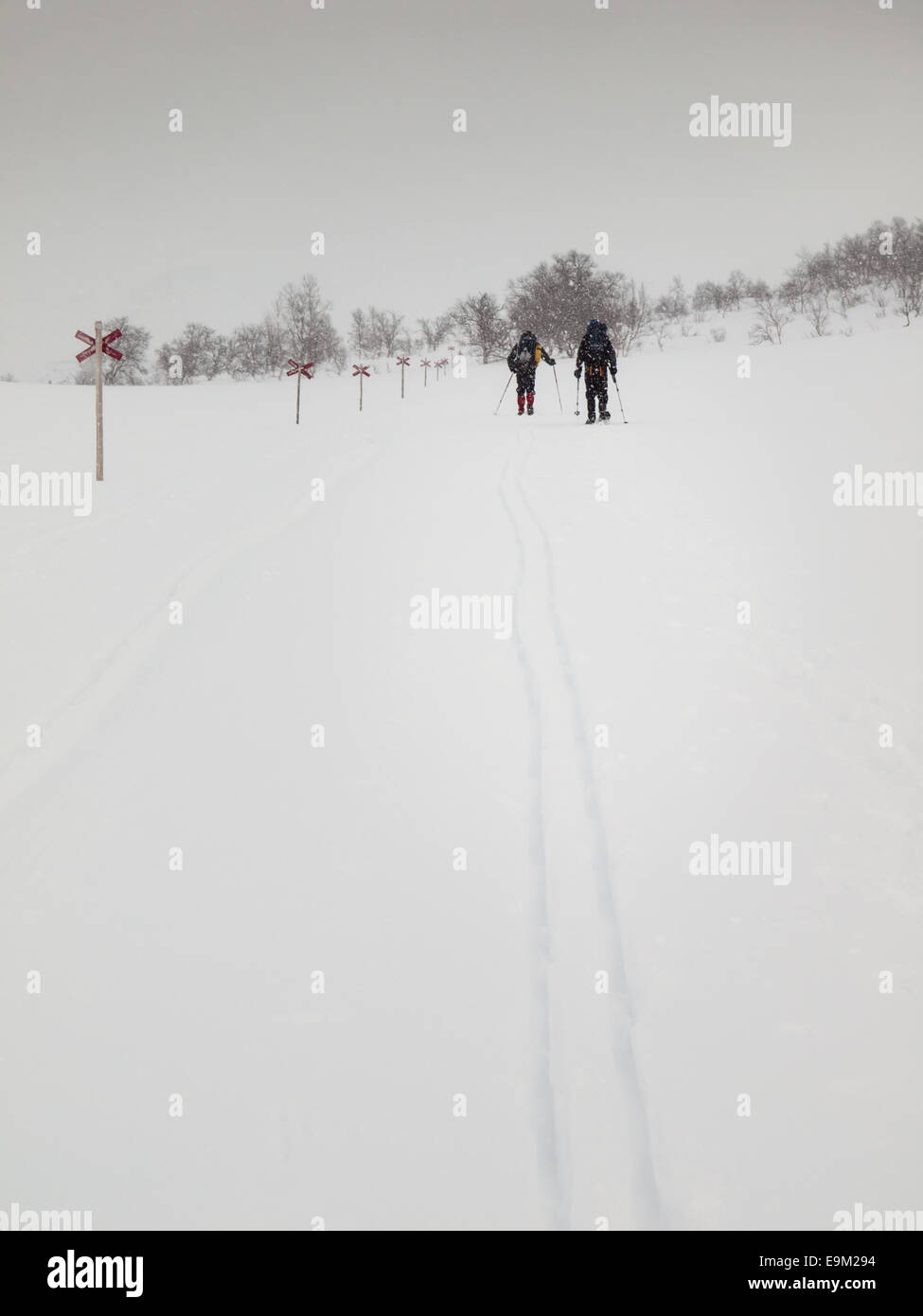 Snow shoe walker and skier walking along marked trail in the Northern Swedish mountain area of Sylarna (sylan) in falling snow. Stock Photo