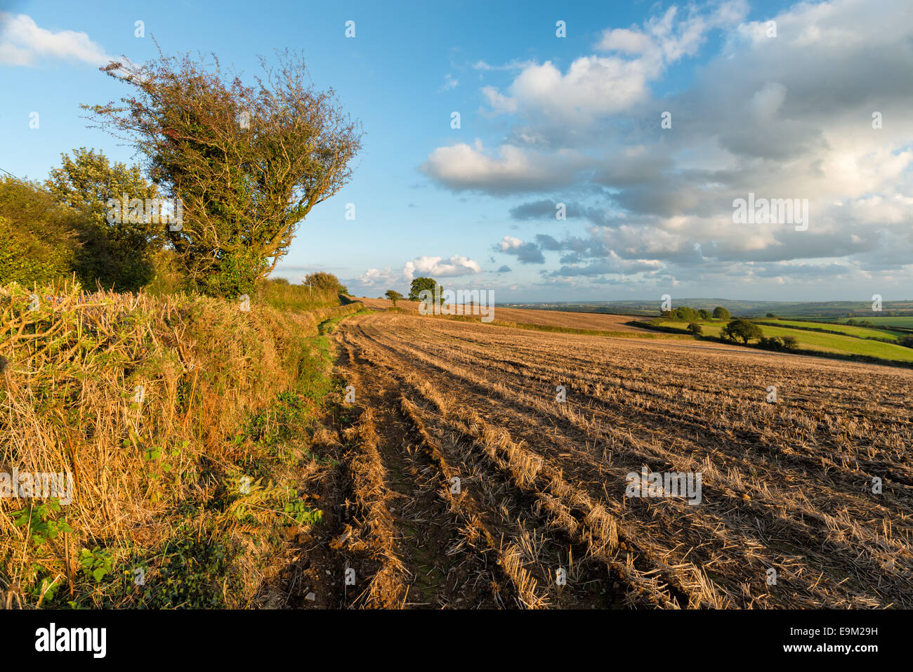 Autumn view across fields in the countryside in Cornwall Stock Photo