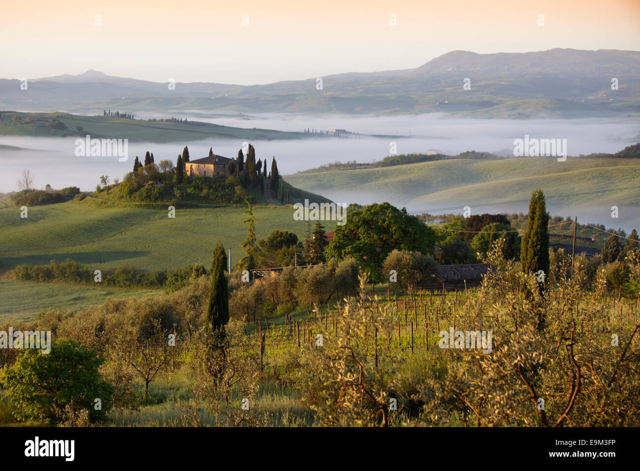 The Belvedere farmhouse in Val d’Orcia with early morning fog, San Quirico d'Orcia, Tuscany, Italy Stock Photo