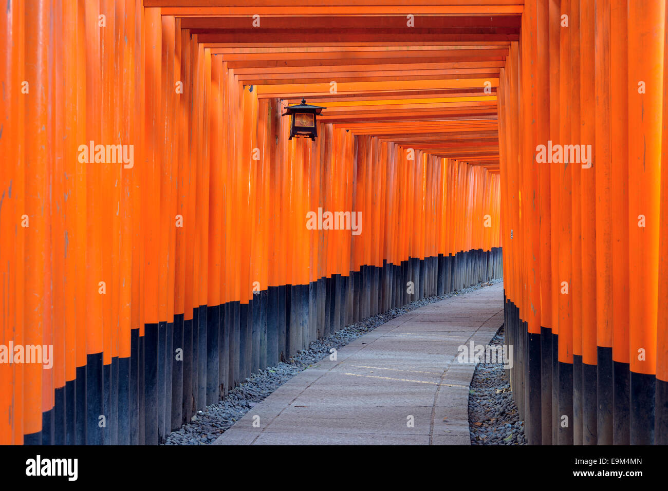Kyoto, Japan at the Fushimi Inari Shrine gates. Stock Photo