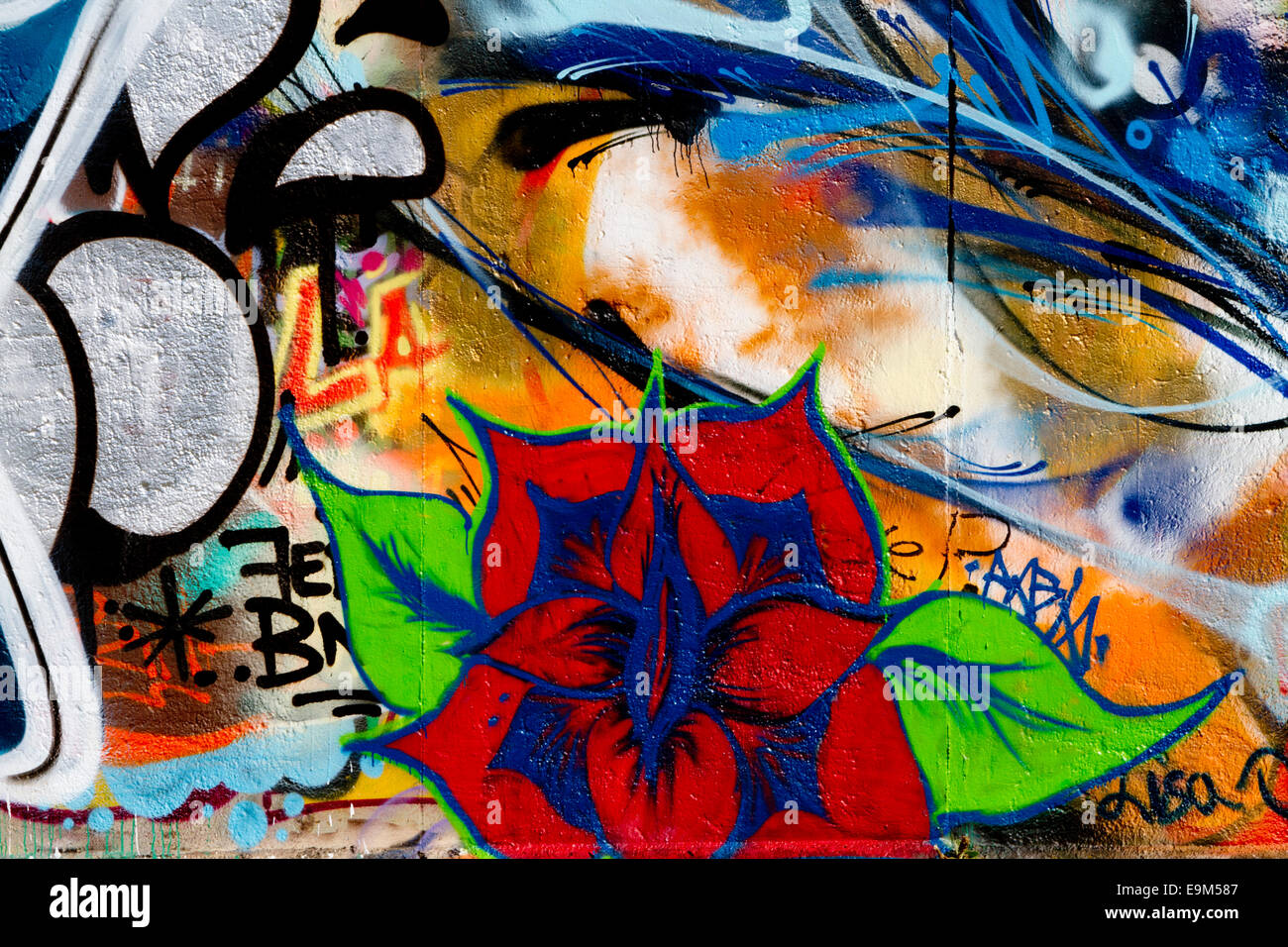 Graffiti street art Berlin Wall urban flower colour Stock Photo