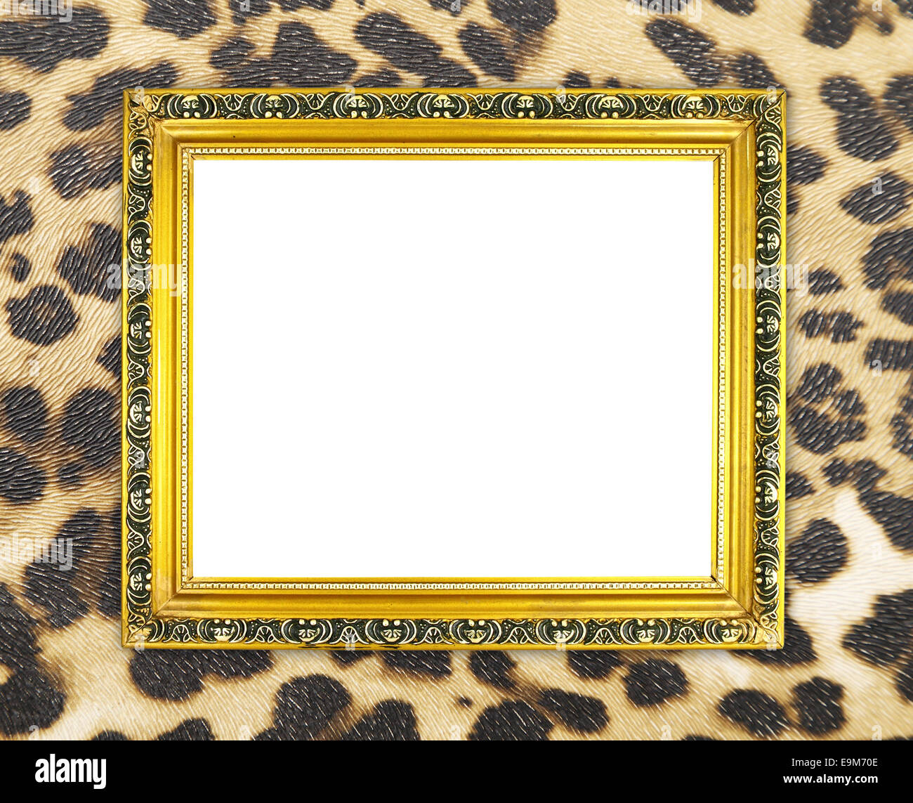 blank golden frame with leopard texture background Stock Photo - Alamy