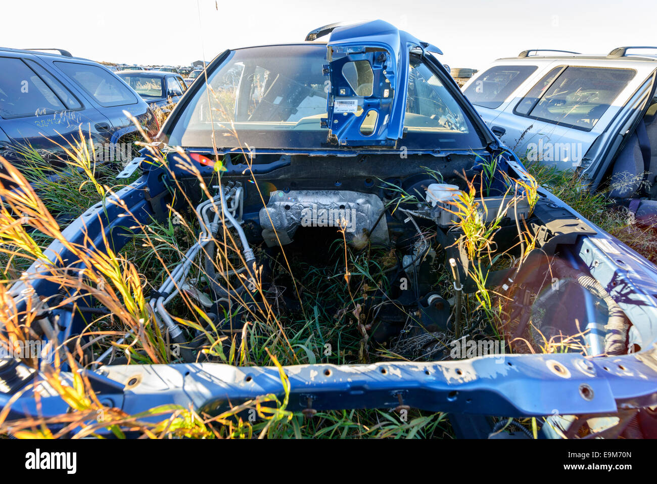 Car Junkyard High Resolution Stock Photography and Images - Alamy