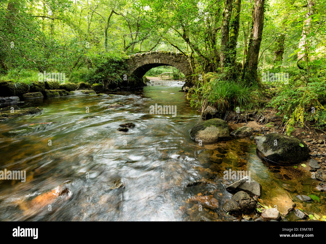 An ancient stone packhorse bridge crossing the River Bovey in Hisley ...