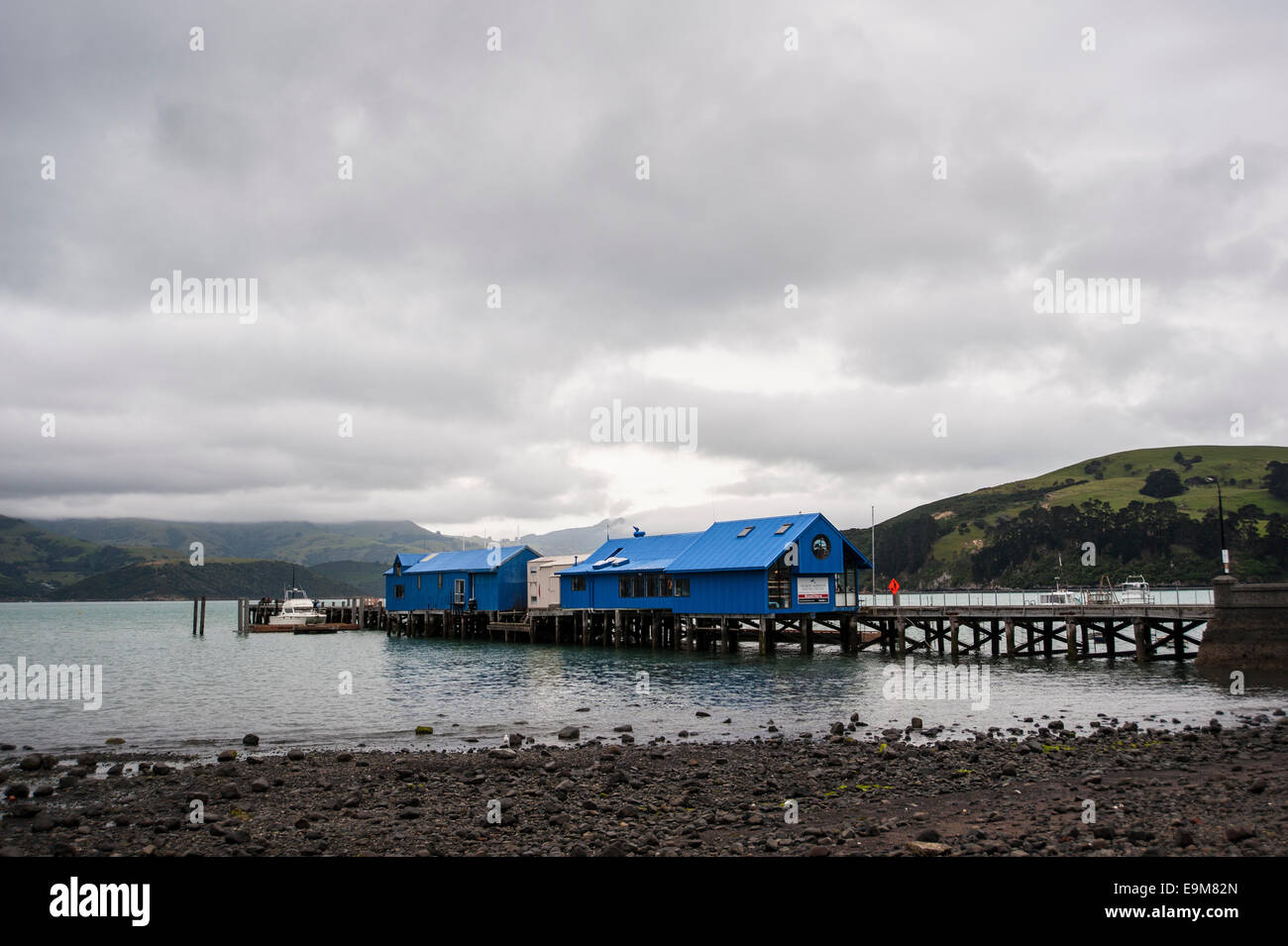 Akaroa harbour, New Zealand Stock Photo Alamy