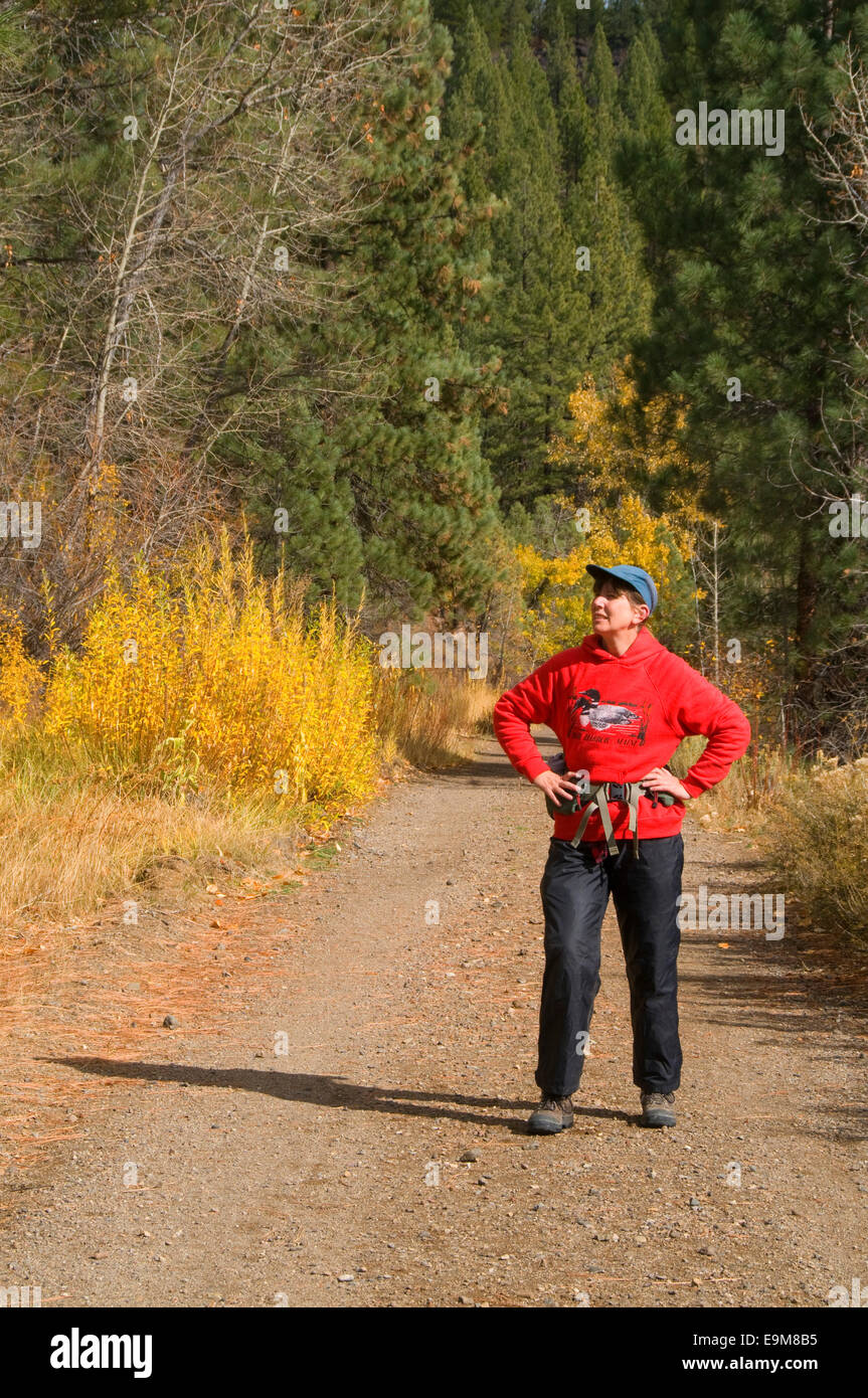 Bizz Johnson Trail, Eagle Lake Field Office Bureau of Land Management, California Stock Photo