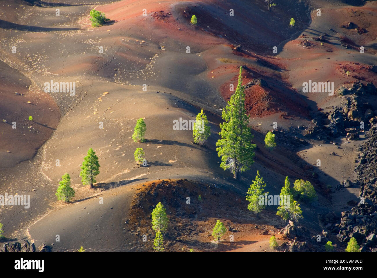 Fantastic Lava Flow from Cinder Cone, Lassen Volcanic National Park ...