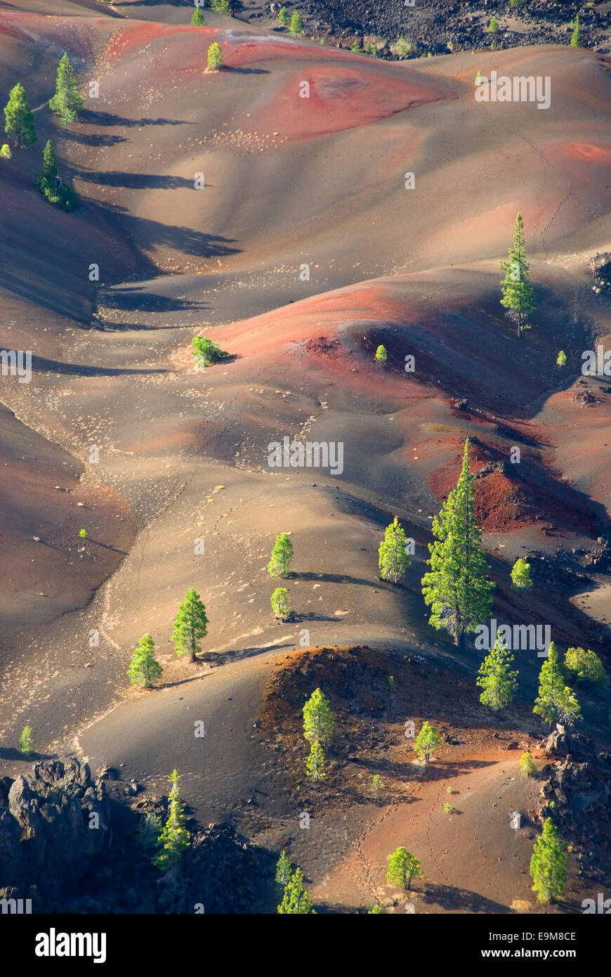 Fantastic Lava Flow from Cinder Cone, Lassen Volcanic National Park ...