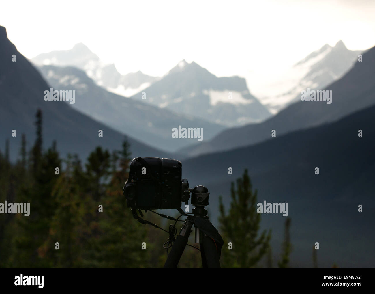 Photographing the Tonquin Valley in Jasper National Park. July 2014 Stock Photo