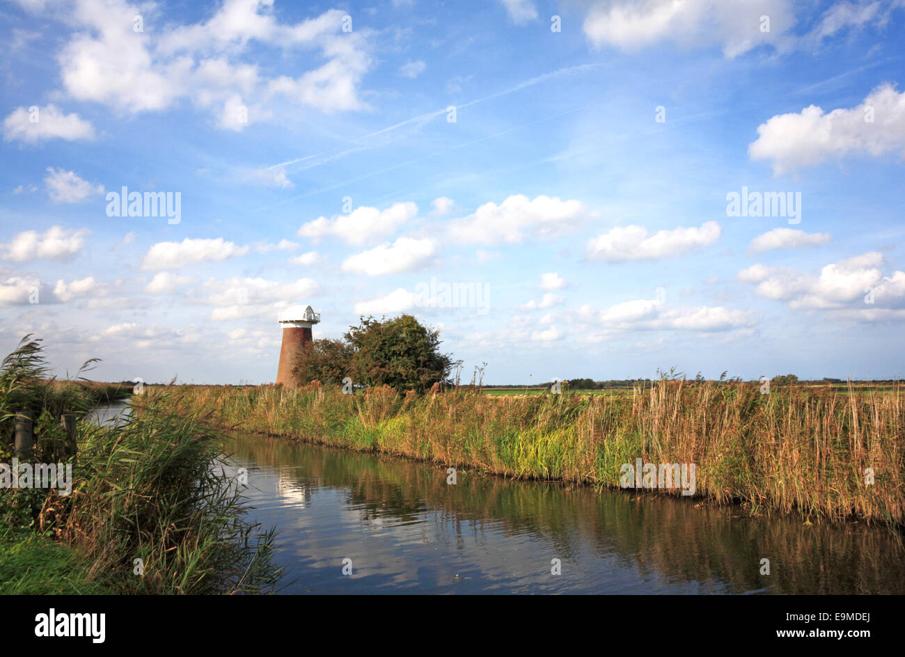 A landscape on the Norfolk Broads at West Somerton, Norfolk, England