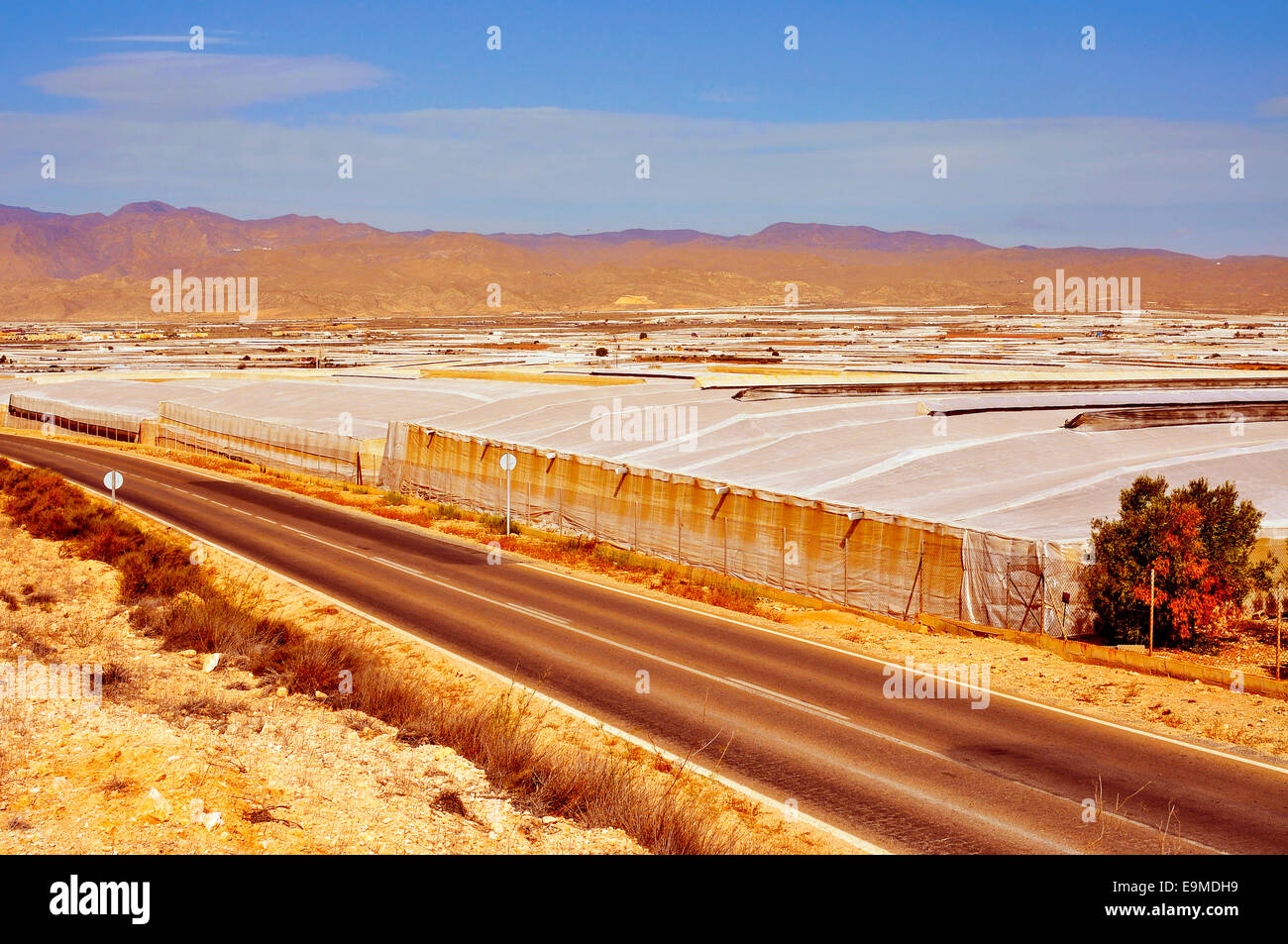 view of a landscape with intensive farming in Almeria, Spain Stock Photo
