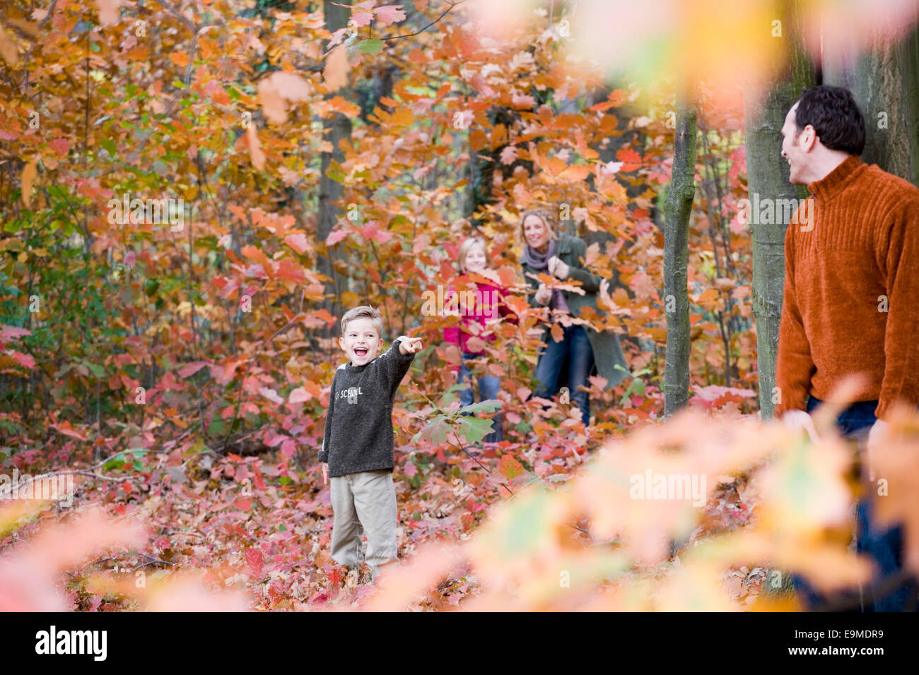 Family of four playing hide and seek in the woods Stock Photo