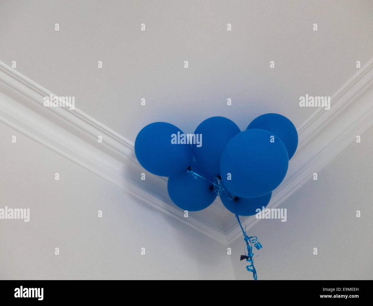 Low angle view of blue balloons against ceiling at home Stock Photo