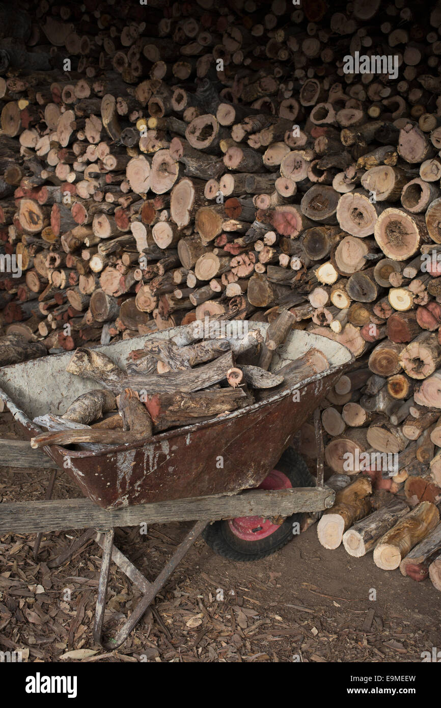 Stack of firewood by wheelbarrow Stock Photo