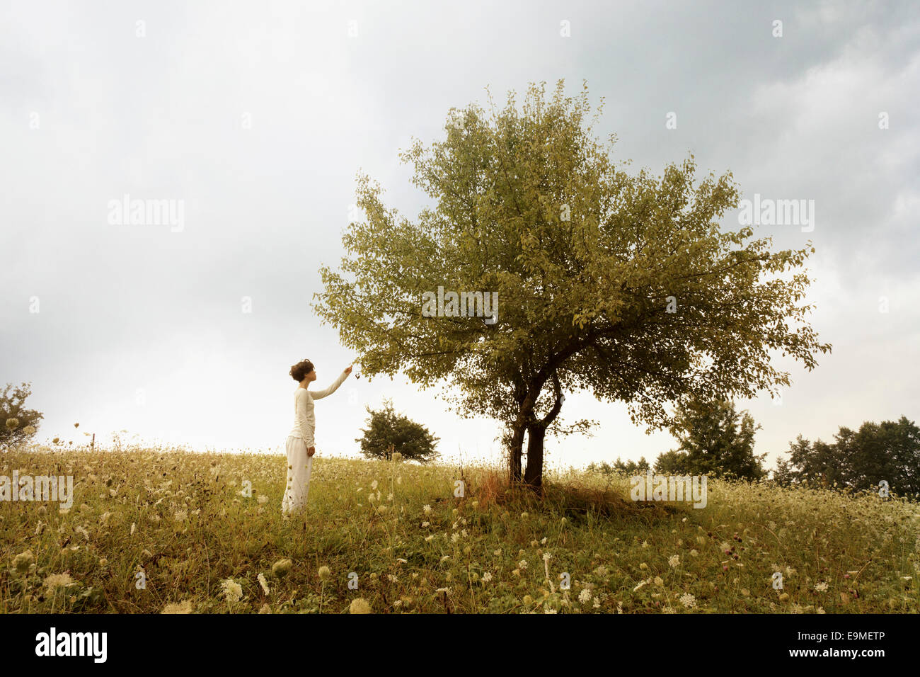 Side view of woman touching leaves on tree at field Stock Photo