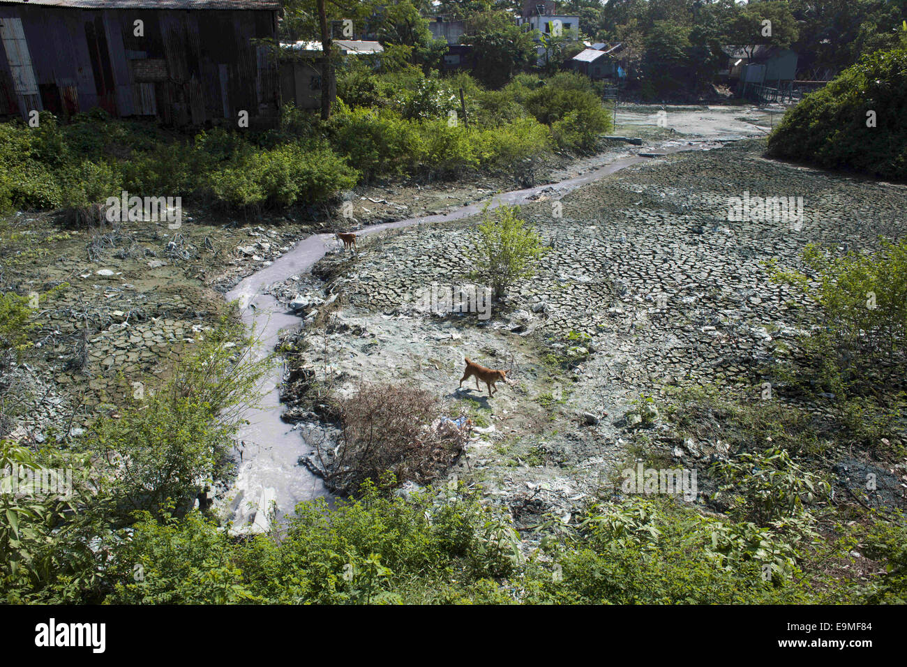 Oct. 30, 2014 - Dhaka, Bangladesh - By throwing waste chemicals and oil from factories into canal and river became polluted soil and water in Dhaka which is harm for environment..Bangladesh, Sierra Leone and South Sudan led a ranking of countries facing extreme risks as a result of climate change, exacerbating the chances of civil conflict, according to a study by UK researcher Maplecroft..A combination of climate change vulnerability, food insecurity, population pressures, infrastructural  weaknesses and lack of skills to deal with climate change, can amplify the risks of civil unrest in Bang Stock Photo