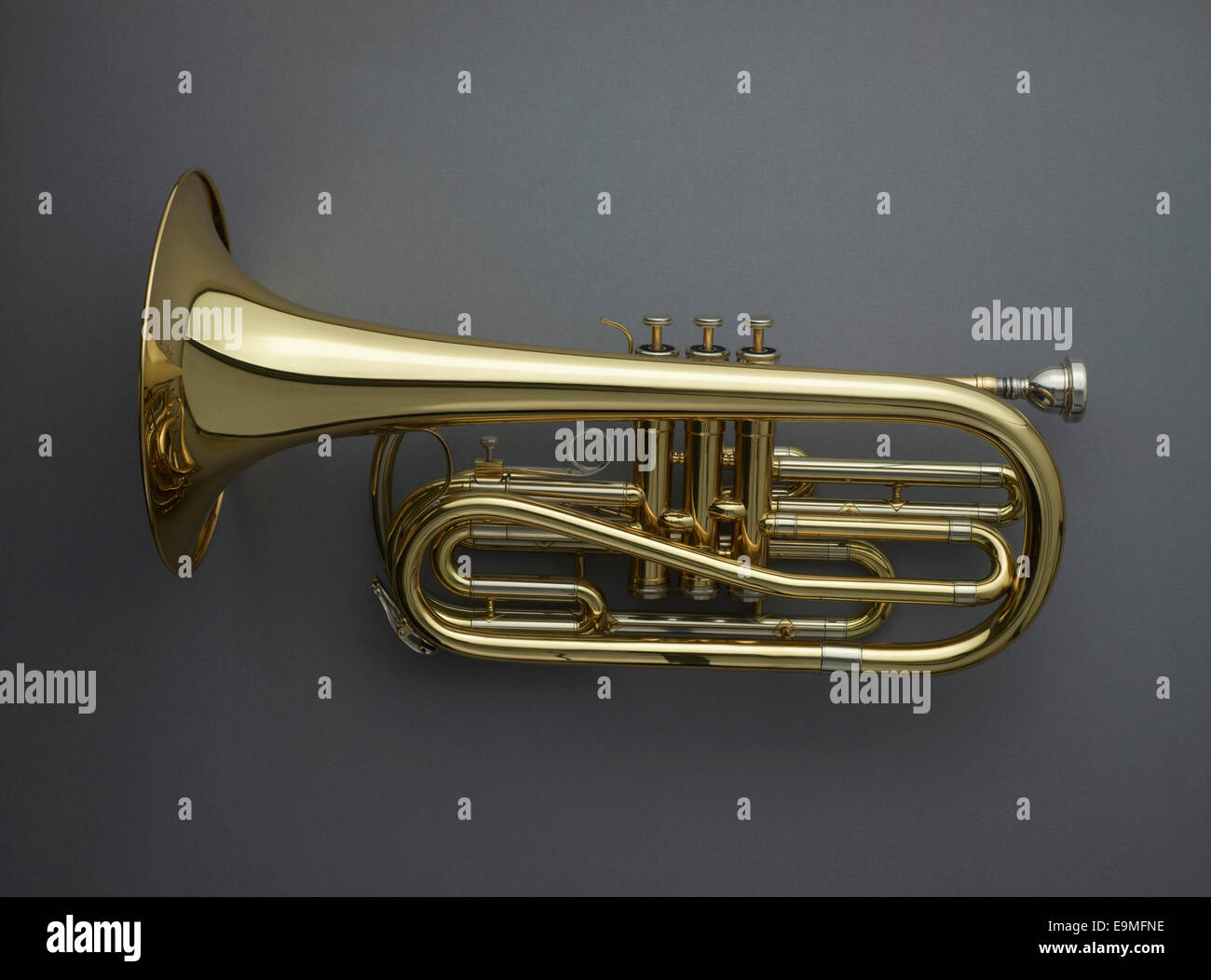 Directly above shot of cornet against gray background Stock Photo