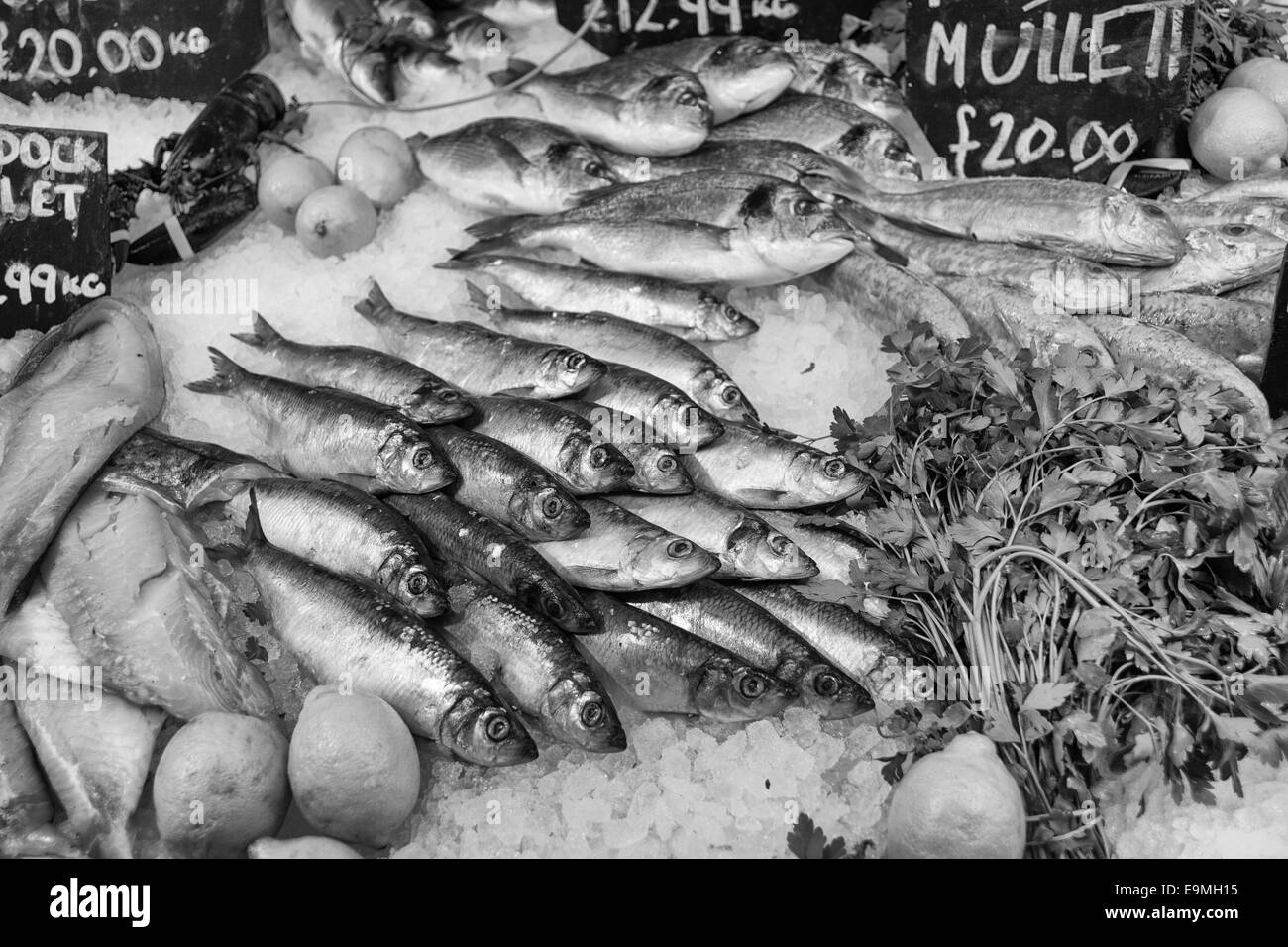 Whitstable Shellfish Cooking shrimps shellfish seafood Black and White Stock Photos & Images ...