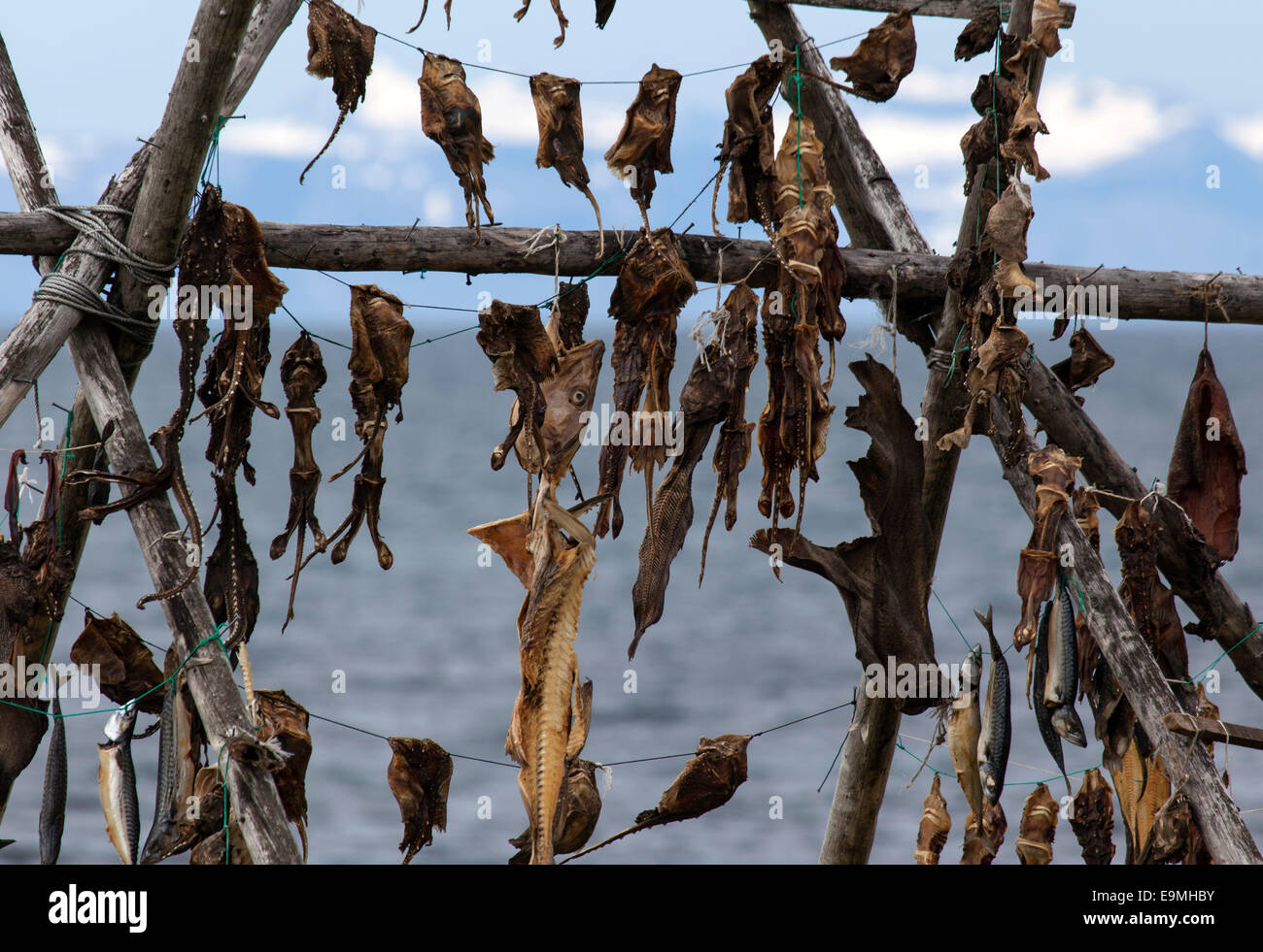 Dried fish, Iceland Stock Photo